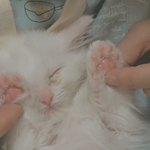 [드루와] @@@<b>휠라</b> 옷 무료로 얻는법 공유@@@