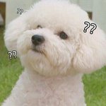 얘들아 빨리 쿠션 추반좀해주라!!