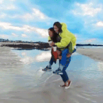 지금까지 공개된 효리네 <b>민박</b>2 티저 GIF