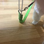 얼굴<b>평타</b>에 눈만 이쁜애들 특징