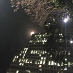 [조언부탁해] 얘두라 갠차는 <b>미백</b>크림 추천좀 해조