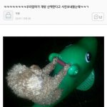 [조언부탁해] 내 <b>생일</b>선물안<b>사</b>준 친구에게 <b>생일</b>선물