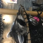 이번 방학에 세운목표 <b>달성</b>했어?