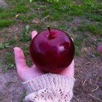 [드루와] 진짜로 안 유명한 노래 하나씩 추천하자