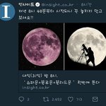 [NCT] 내가 보기엔 이거