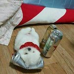 나만아직도 <b>술래</b>잡기 좋아하냐