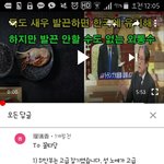 독도가 일본땅이라고 계속 말하는 일본인 논리적으로 반박할 사람 <b>구함</b>