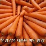 [세븐틴] 가사 들고 왔엌!!!!!