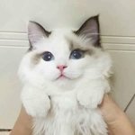 [드루와] 다들 들어와봐 안들어오면 후회함