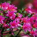 58살.남잔대.여고생.사귈수.있을가요