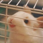 나 <b>주량</b>?어떤거임