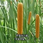 머리카락 <b>검정</b>색으로 염색했는데
