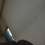 <b>해가</b>뜨고있다능