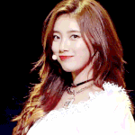 오랜만에 <b>본업</b>으로 돌아온 수지(+쇼케이스)