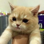 오바<b>워치</b>하는사람들!!