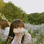 [ㅇㄱㄹㅇ] 여자들이 싫어하는/좋아하는 여자 특징 정리!!
