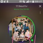 [강다니엘] +<b>추추</b>가) 얘는 깅이냐 친이냐