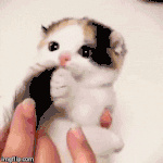 부산행감독 신작 <b>염력</b> 보고온후기(아주약간스포)