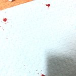 [드루와] 아 개미친 이불에 <b>코피</b> 묻음