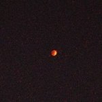 [EXO] 보고 가