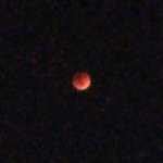 [드루와] <b>블러드</b>문 찍다가 초록별찍음..ㄷㄷㄷㄷ