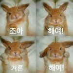 [드루와] 얘들아 첫인상 평가