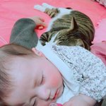 얘들아 나 공부시작해보고 싶어