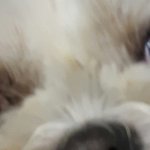 다들 자기 <b>눈</b> <b>사진</b> 올리고 가자