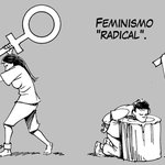 트페미문제점은