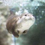 내 동생 유튜브에 철아따? 그거하는데