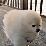 [드루와] 나 반<b>배정</b> 조카 잘됐어