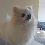 4살 <b>성깔</b>있는 콩이에요