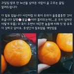 야 너네 봉사