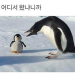 너희 세뱃돈 받으면 뭐 살거냐