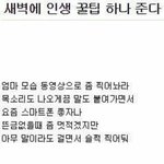 [드루와] 나 ㄹㅇ 스마트폰<b>중독자</b>인듯;^^