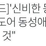 [댓글부탁해] 신비한 동물<b>사전</b> 실화냐