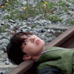 [<b>유후</b>] 내친구들 개죠아