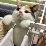 [댓글부탁해] 제발 아침에 <b>상쾌</b>하게 일어나는 법좀 ㅠㅠ