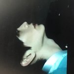 [BTOB] 육성재 <b>만찢남</b>....내생각 완전 리즈