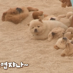 [조언부탁해] 나 욕했던 애들이 친한척해