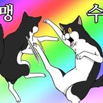 [댓글부탁해] <b>배씨</b>가먼저야 박씨가먼저야,??