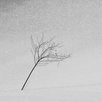 근데 슈기 <b>인성</b> 안좋아??