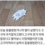 [드루와] 중학교 <b>임시</b>반이랑 진짜반이랑 틀려?