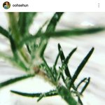 [세훈] 180201 훈<b>스타</b>그램1