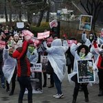 고양이 식용 없는 평창동계올림픽 촉구 대 <b>시민</b>집회에 참여해주세요