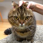 [꿀팁] 화알못들 <b>드러</b>왕