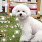 [EXO] 비<b>비방</b>에서 주웠다 갓비소녀 가즈아!!