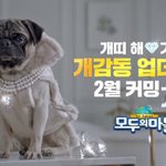 [댓글부탁해] 김민교님이 모두의마블 광고영상 찍었습니다.