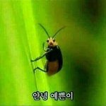 [혐사진] <b>미방</b>)내몸뚱이보고드는생각(자극좀주라)