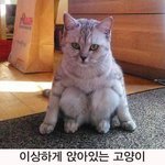 [드루와] 쌍수 했는데